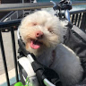 Meet your Posher, Jill